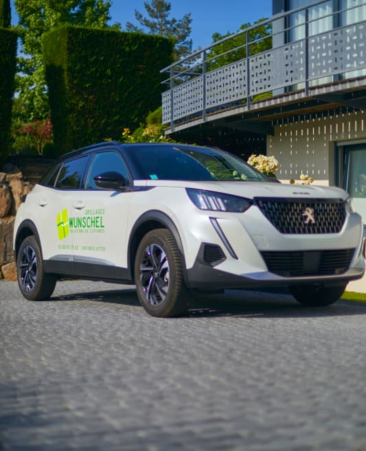 Image de la catégorie