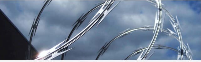 <h1>RONCE CONCERTINA</h1>
