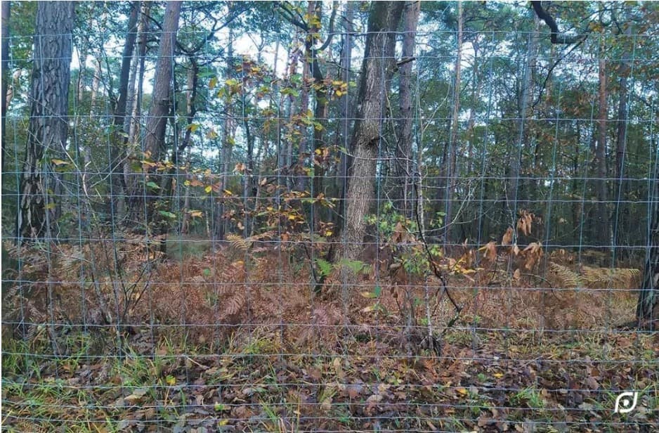 <p>ARIZONA GRILLAGE SOUDÉ EN ROULEAUX</p>
