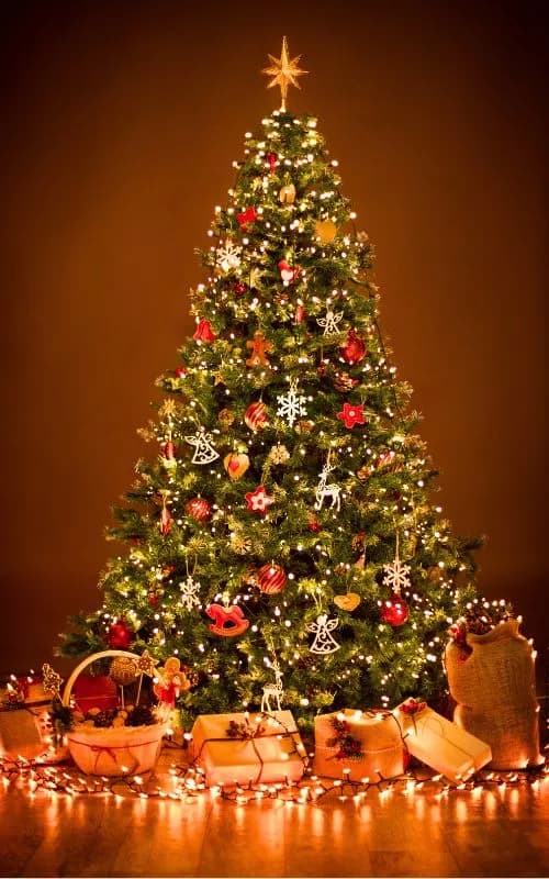 Congés annuelles de noël